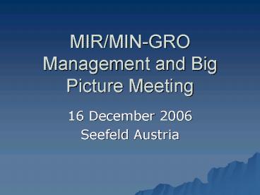 MIRMINGRO Management and Big Picture Meeting