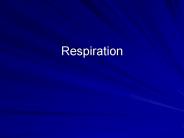 Respiration