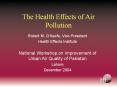 The Health Effects of Air Pollution PowerPoint PPT Presentation