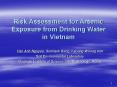 Risk Assessment for Arsenic Exposure from Drinking Water in Vietnam PowerPoint PPT Presentation