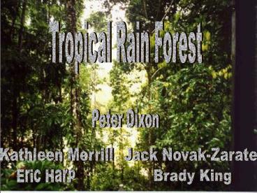 Tropical Rain Forest