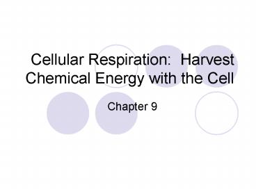 Cellular Respiration: Harvest Chemical Energy with the Cell