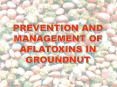 PREVENTION AND MANAGEMENT OF AFLATOXINS IN GROUNDNUT PowerPoint PPT Presentation