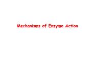 Mechanisms of Enzyme Action
