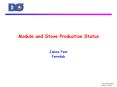Module and Stave Production Status PowerPoint PPT Presentation