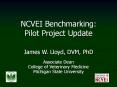NCVEI Benchmarking: Pilot Project Update PowerPoint PPT Presentation