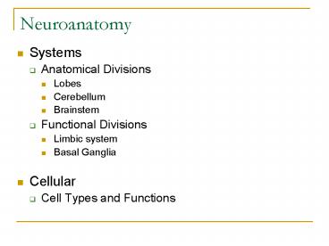 Neuroanatomy