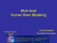 Multi-level%20Human%20Brain%20Modeling
