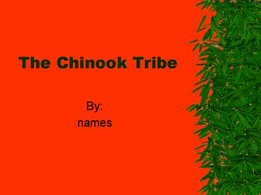 The Chinook Tribe