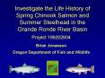 Investigate the Life History of Spring Chinook Salmon and Summer Steelhead in the Grande Ronde River PowerPoint PPT Presentation