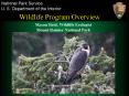 Wildlife Program Overview PowerPoint PPT Presentation