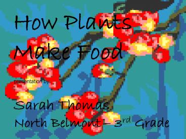 Howj Plants Make Food