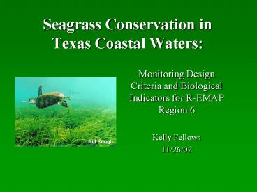 Seagrass Conservation in Texas Coastal Waters: