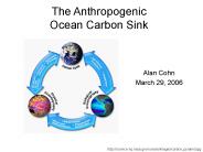 The Anthropogenic Ocean Carbon Sink