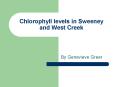 Chlorophyll levels in Sweeney and West Creek PowerPoint PPT Presentation