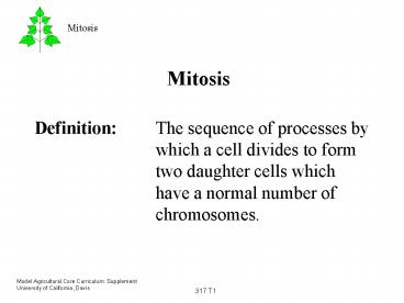 Mitosis