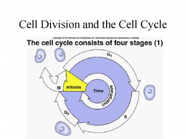 Cell Division and the Cell Cycle presentation | free to view