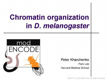 Chromatin organization in D' melanogaster