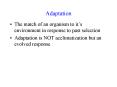 Adaptation PowerPoint PPT Presentation