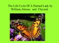 The Life Cycle Of A Painted Lady by William,Alonzo, and Chrystal PowerPoint PPT Presentation