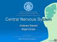 Central Nervous System PowerPoint PPT Presentation