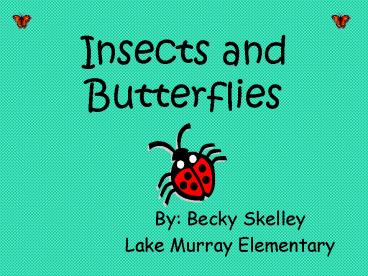 Insects and Butterflies