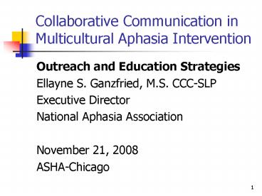 Collaborative Communication in Multicultural Aphasia Intervention