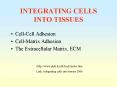 INTEGRATING CELLS INTO TISSUES PowerPoint PPT Presentation