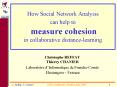 How Social Network Analysis can help to measure cohesion in collaborative distancelearning PowerPoint PPT Presentation