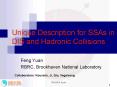 Unique Description for SSAs in DIS and Hadronic Collisions PowerPoint PPT Presentation