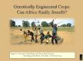 Genetically%20Engineered%20Crops:%20Can%20Africa%20Really%20Benefit? PowerPoint PPT Presentation
