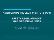 AMERICAN%20PETROLEUM%20INSTITUTE%20(API)