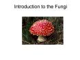 Introduction to the Fungi PowerPoint PPT Presentation