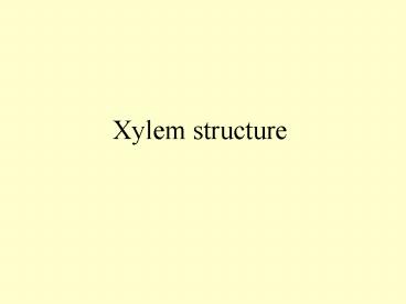 Xylem structure