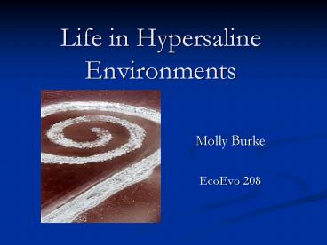 Life in Hypersaline Environments