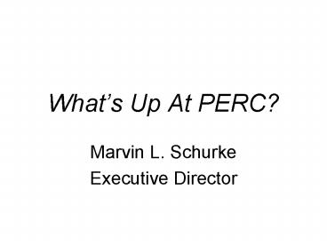 Whats Up At PERC
