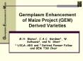 Germplasm Enhancement of Maize Project (GEM) Derived Varieties PowerPoint PPT Presentation