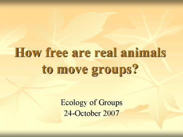 How free are real animals to move groups