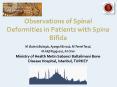 Observations of Spinal Deformities in Patients with Spina Bifida PowerPoint PPT Presentation