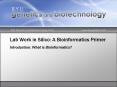 Lab Work in Silico: A Bioinformatics Primer PowerPoint PPT Presentation