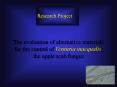 The evaluation of alternative materials PowerPoint PPT Presentation