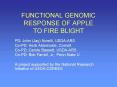 FUNCTIONAL GENOMIC RESPONSE OF APPLE TO FIRE BLIGHT PowerPoint PPT Presentation