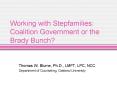 Working with Stepfamilies: Coalition Government or the Brady Bunch PowerPoint PPT Presentation