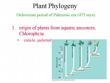 Plant Phylogeny Ordovician period of Paleozoic era 475 mya