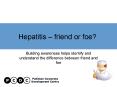 Hepatitis friend or foe PowerPoint PPT Presentation