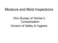 Moisture and Mold Inspections PowerPoint PPT Presentation