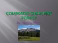 Colorado Subalpine Forest PowerPoint PPT Presentation