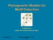 Phylogenetic Models for Motif Detection