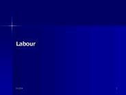 Labour