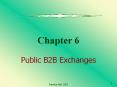 Chapter%206%20Public%20B2B%20Exchanges PowerPoint PPT Presentation